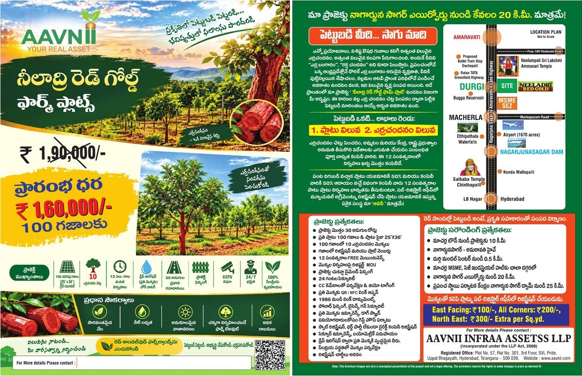 Telugu brochure for Neeladri Red Gold Farm Plots: starting price ₹1,60,000 for 100 yards, project highlights, key features, location plan, special features and surroundings